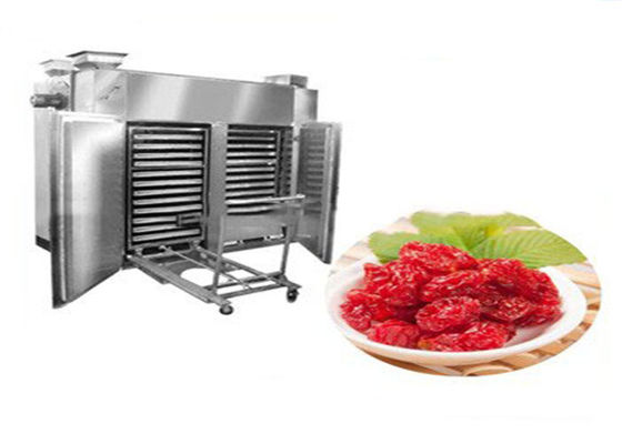 Heißlufttrocknungs-Oven For Bottarga Dehydrator Fruit-Trockner 1.35kw 300kg
