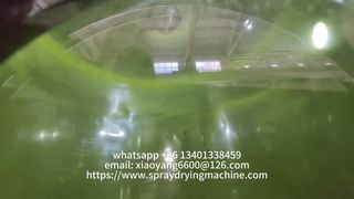 Verwandeln Sie Flüssigkeiten mit unseren fortschrittlichen Sprühtrocknungssystemen in hochwertige Pulver